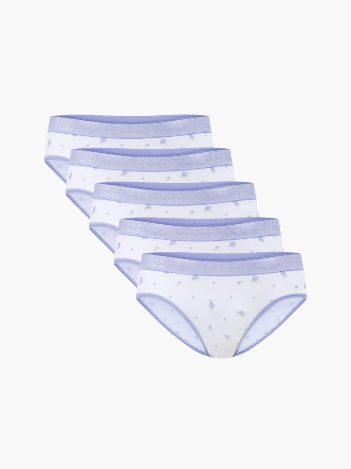 Combo 5 quần lót nữ bikini Cotton USA